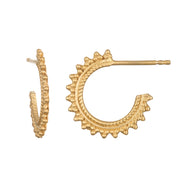 Radiant Gold Hoop Earrings