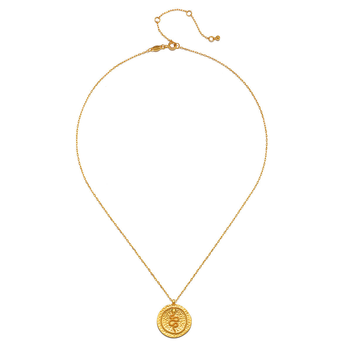 Infinity Energy Serpent Coin Pendant Necklace